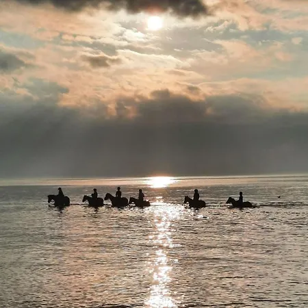 Am Reiterhof Meerzeit *